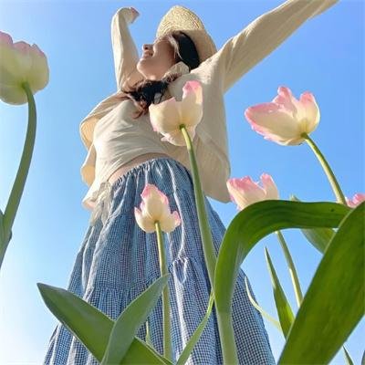 日掛中天